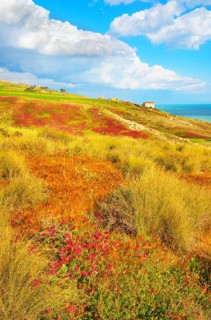 Riserva Naturale di Punta Bianca, Palma di Montechiaro, Agrigento, Sicily, Italy