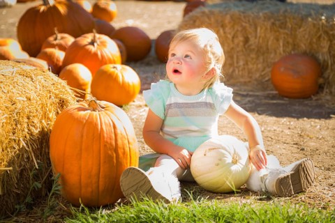 Adorable Baby Girl Having Fun in a Rustic Ranch Setting at the Pumpkin Patch