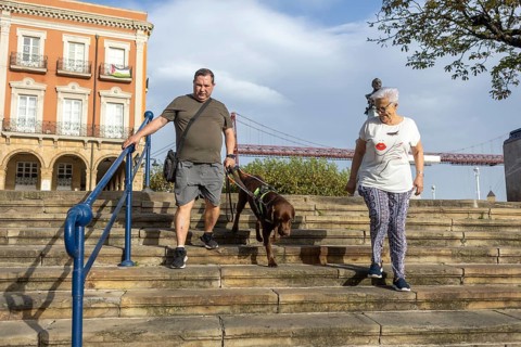 Two persons, accompanied by a guide dog, descends stone steps. A large bridge and building are