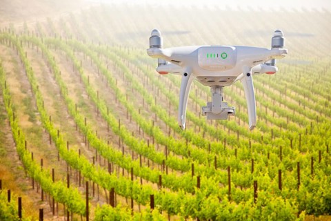 Unmanned Aircraft System (UAV) Quadcopter Drone In The Air Over Grape Vineyard Farm