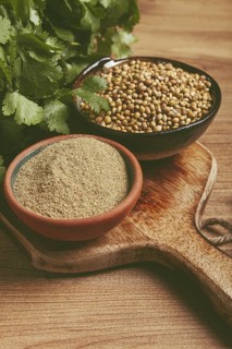 A bunch of fresh cilantro, coriander seeds and powder bowls, close-up, top view, no people, food