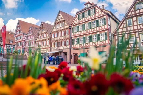 Colourful flowers in the foreground in front of picturesque half-timbered houses under a clear blue