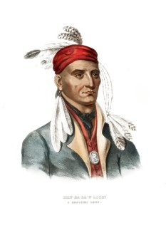 American Indian, Native American, Shin-Ga-Ba-W'Ossin, Chief of the Chippeway Tribe, United States