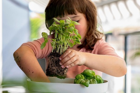 A child carefully plants a green seedling in a white pot, promoting home gardening and sustainable