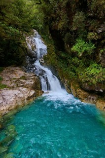 A powerful waterfall pours into a turquoise-coloured pool surrounded by forest, summer, Milford