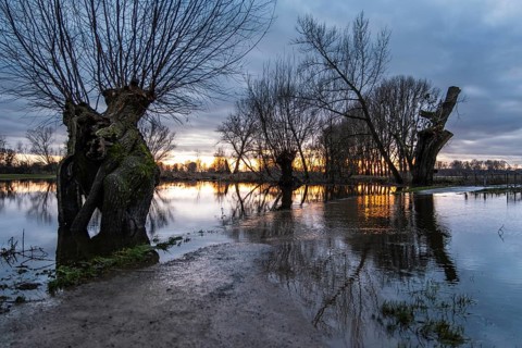 Flood on the Rhine near Düsseldorf, Germany