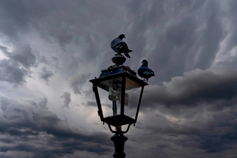 Two pigeons (Columbidae) on a lantern against a grey cloudy sky, Franconia, Bavaria, Germany