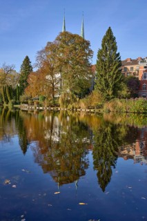 Mill pond with trees, general development, reflections on the water surface, Hanseatic city of