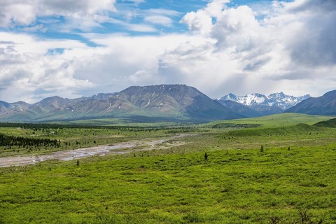 Savage River, tundra and mountainous landscape, Denali National Park, Alaska, USA