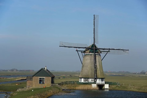 Windmill and house with pond, landscape, Oost, Texel, North Holland, Holland, Netherlands