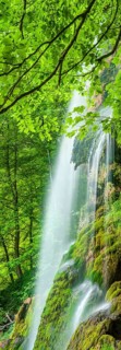 The Urach waterfall falls over rocks with moss cushions, surrounded by green forest, Swabian Alb,