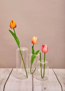 Three colorful tulips in glass vases on a rustic wooden surface, with a neutral background,