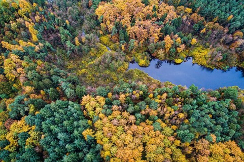 Lethe flows into the Lethetalsperre, Ahlhorner Fischteiche, Hoheging, Ahlhorn, Lower Saxony,