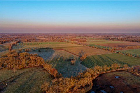 Landscape in the Drömling UNESCO Biosphere Reserve in the Altmark early in the morning on a cold