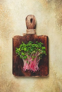 Fresh micro-greens, beetroot sprouts, on a wooden chopping board, top view, no people