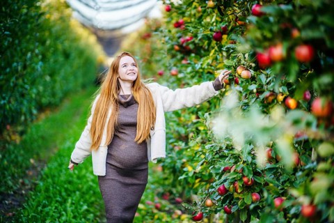 A beautiful pregnant woman with long red hair enjoys a peaceful walk through an apple orchard,