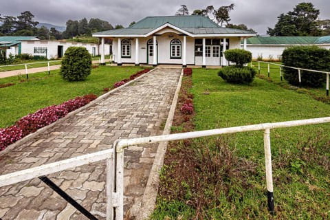White single-family house with green roof surrounded by well-kept garden and paved path, The