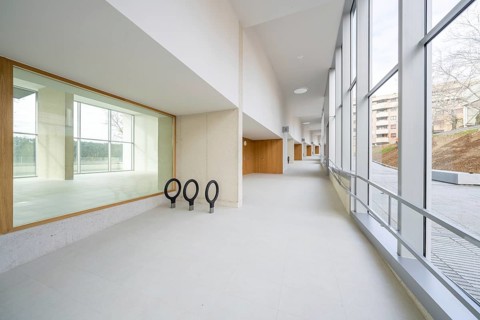 Featuring a modern, airy corridor with minimalist design, vibrant windows, and efficient energy