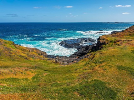 A stunning coastal cliff with lush green grass overlooks the vast ocean in Phillip Island,