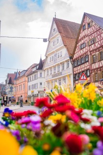 View of old town street with half-timbered houses and colourful spring flowers, Nagold, Black