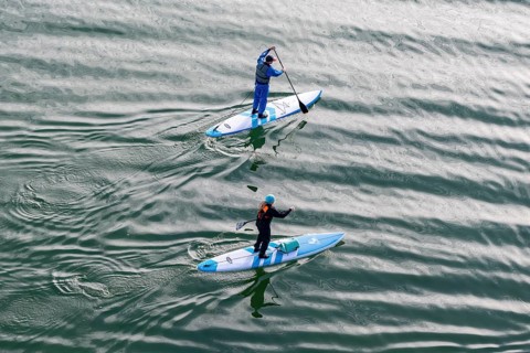 Two stand-up paddlers on Lake Constance, Friedrichshafen, Bodenseekreis, Baden-Württemberg, Germany