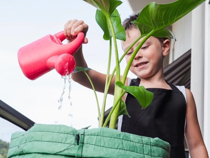 Low angle of a smiling boy waters a thriving plant plant from a vibrant red watering can,
