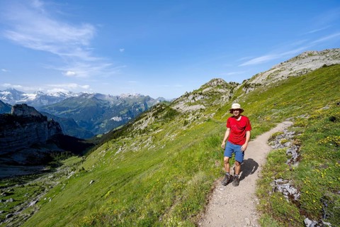 Hikers on a hiking trail on the Schynige Platte, picturesque mountain landscape, Bernese Alps,