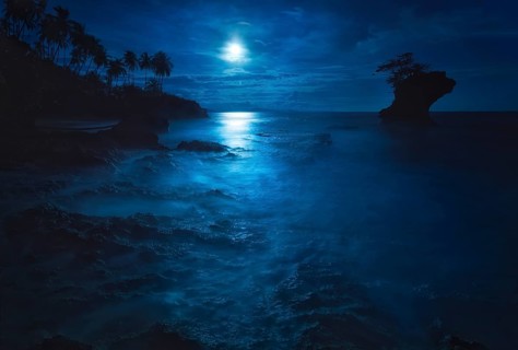 A secluded beach in the Gandoca-Manzanillo Wildlife Refuge yielded this peaceful scene