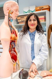 Smiling medical student pointing at anatomical model organs during anatomy lesson in university