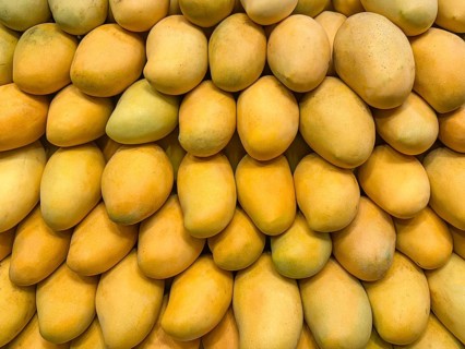 A vibrant and appetizing display of ripe yellow mangos, stacked closely in a pattern. The tropical