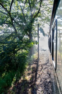 Train runs through a wooded section with lighting effects, Rügen, Rasender Roland