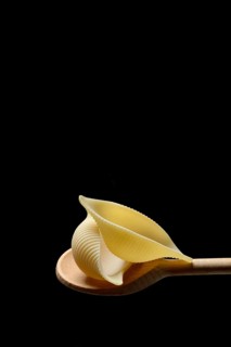 Conchiglione, Italian pasta variety on cooking spoon in front of black background, Italy