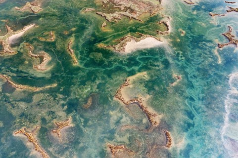 Aerial view of intricate wetland patterns in San Vicente de la Barquera, Cantabria, Spain,