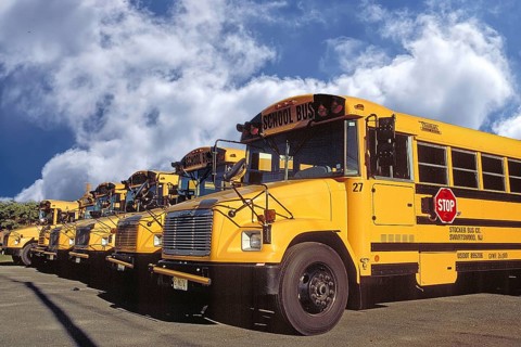 American school buses in a row ready for departure, Newton, New Jersey, USA