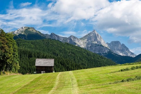 A picturesque landscape of the Austrian Alps featuring traditional wooden barns and houses nestled