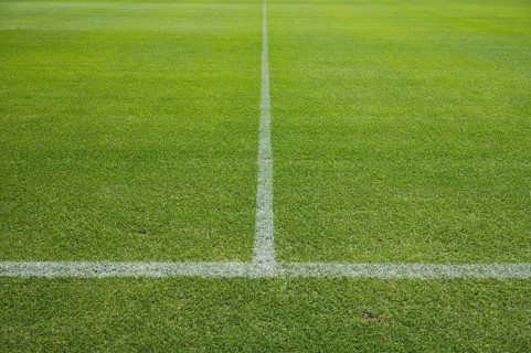 White line on the grass at soccer playing fieldin Lubin, Poland