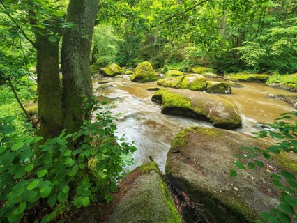 Moss-covered rocks in the Waldnaab river in the Waldnaabtal nature reserve, Falkenberg an der
