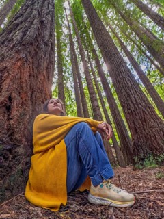 A woman in a yellow coat sits serenely against a giant tree, surrounded by towering forest trees