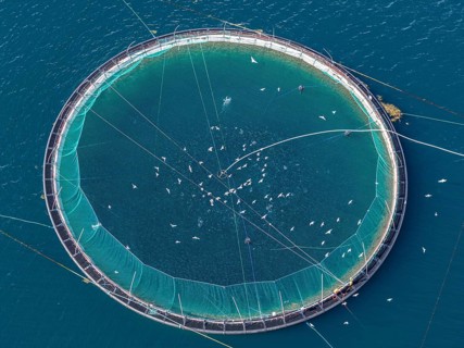 Cages of a salmon farm, at Raften at the Raftsund, the waterway between Lofoten and Vesteralen,