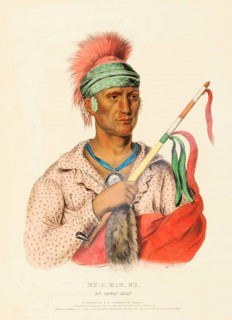 Ne-O-Mon-Ne, An Ioway Chief (1838), Native American, Historical Native American tribes from North
