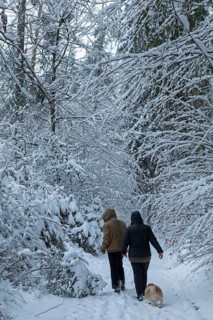 Two woman taking a walk with a dog through a snowy forest, winter, snow, Sieversen, Samtgemeinde