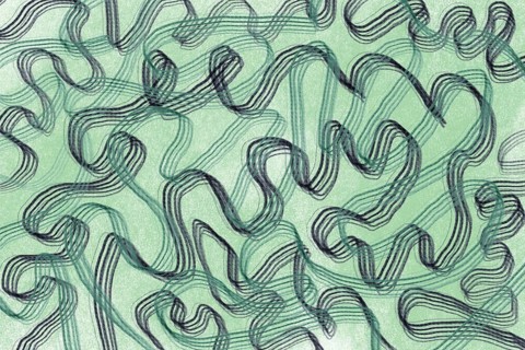 An abstract illustration featuring intertwined green lines set on a softly textured mint