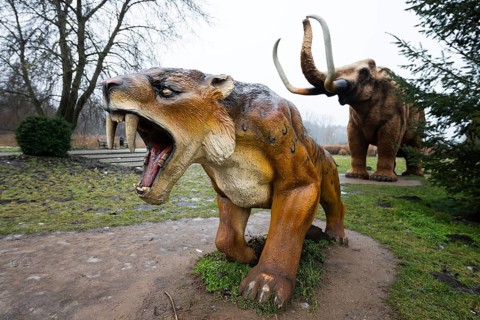 LUBIN, POLAND - JANUARY 15, 2026 - Park Wroclawski. Realistic statues of a saber-toothed tiger and