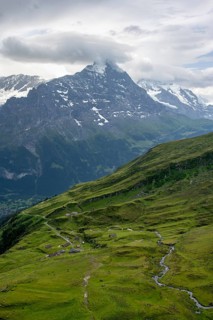 View of mountain landscape with green meadows and alpine huts Bachlager, Grindelwald First,