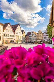 Colourful houses in an old town under a blue sky with clouds and flowers in the foreground, Weil