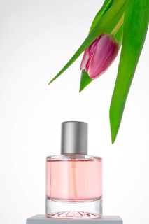 A striking image showcasing a delicate pink perfume bottle beside a gracefully draped pink tulip,