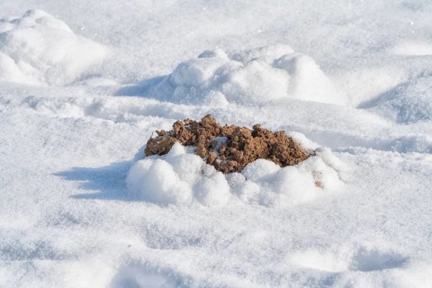 Snow surface with a molehill