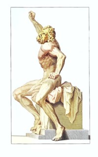 Side view of the Laconian statue in the Vatican, viewed anatomically, dynamic pose of a muscular