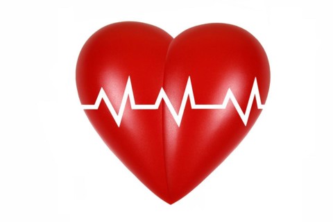 Heart, organ, body part, heart rate, heartbeat, studio