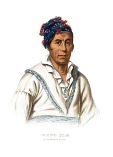 American Indian, Native American, Spring Frog, Chief of the Cherokee tribe, United States of